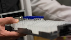 Alex Edwards handles marijuana test samples at LP Analytical lab in Phoenix, Arizona. The owner of LP Analytical is a member of Nevada’s Independent Laboratory Advisory Committee.