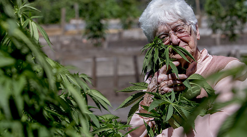 92-year-old YouTube star 'Nonna Marijuana' describes first experience with pot